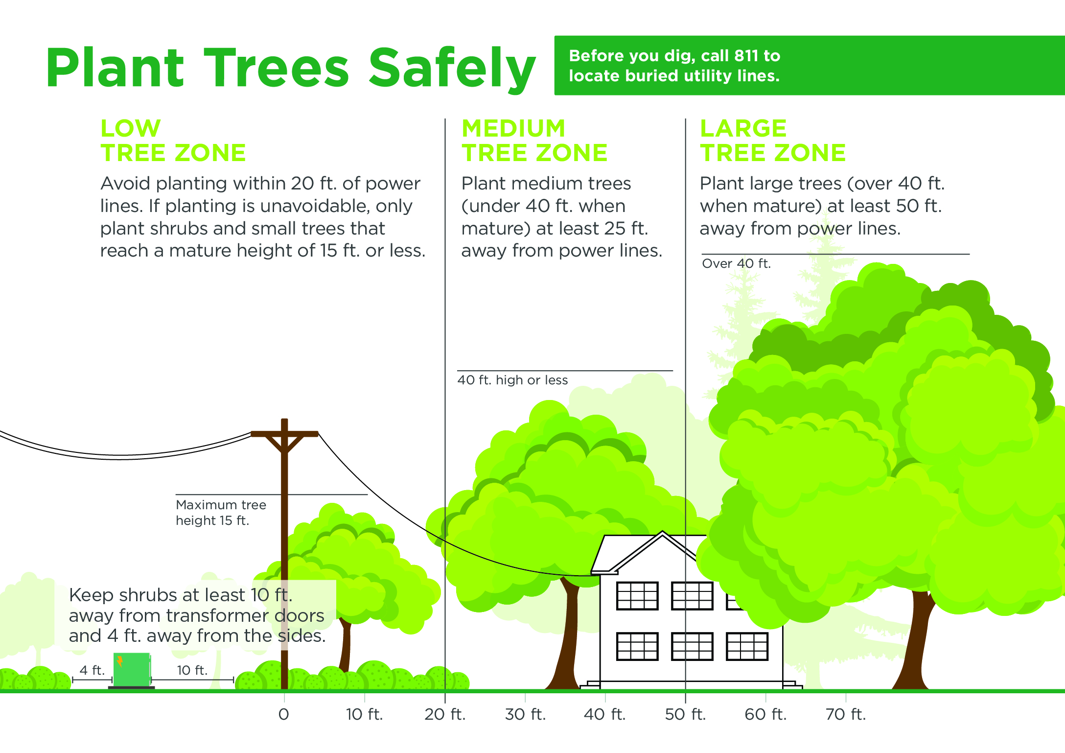 Graphic listing ways to plant your tree safely. 