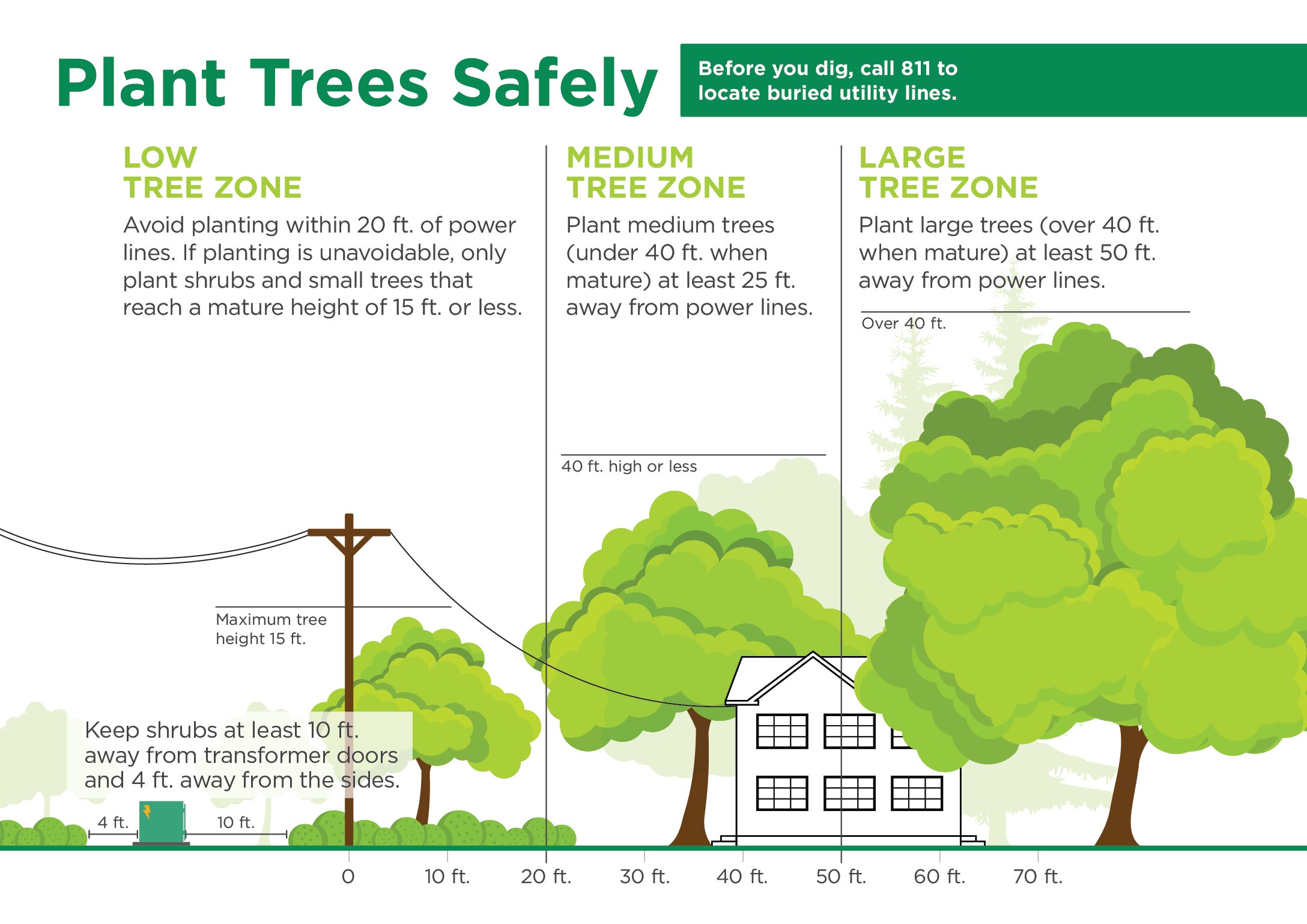 Graphic listing ways to plant your tree safely. 