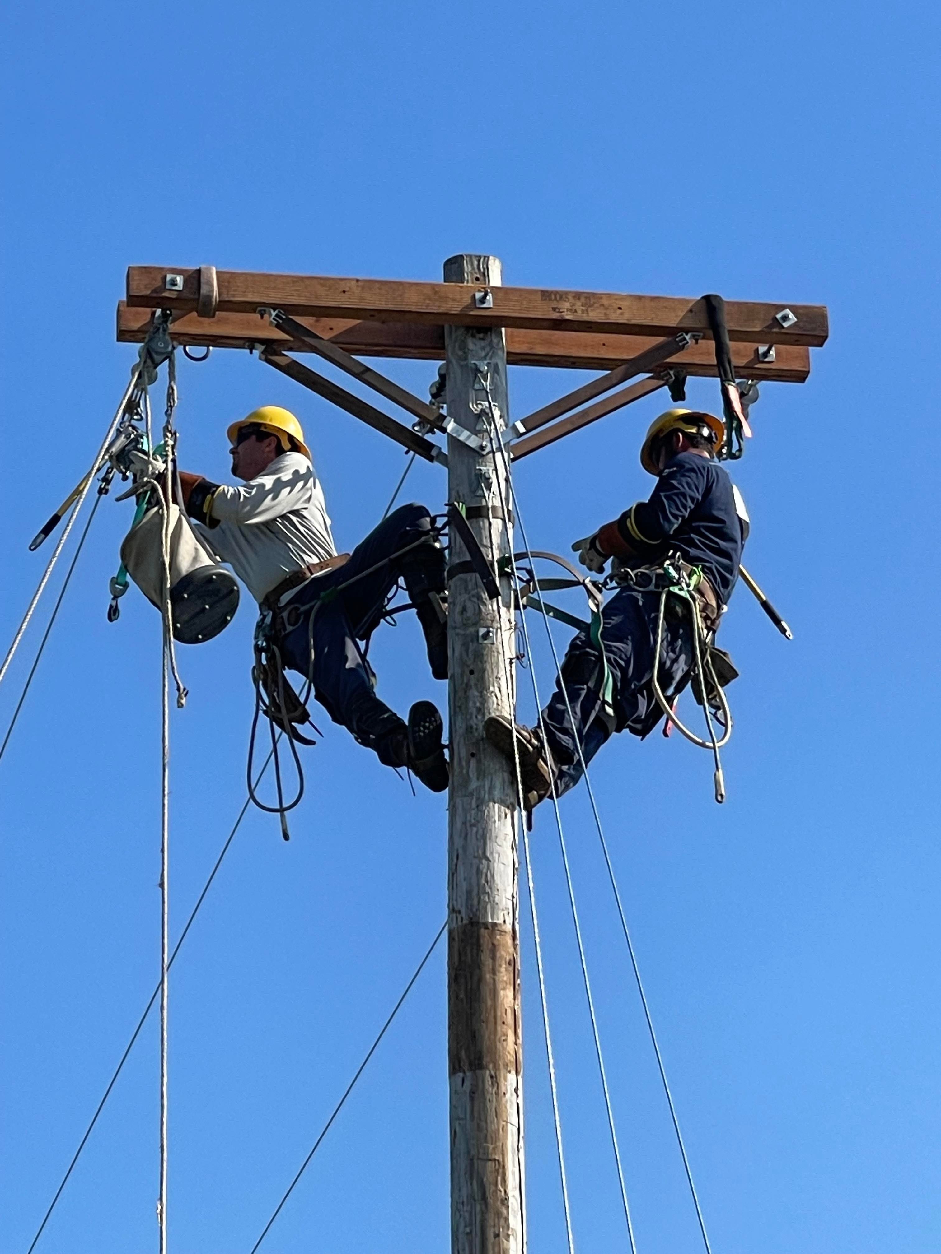 Lineman Rodeo